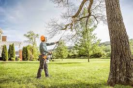 Tree and Shrub Care in Underwood, IA